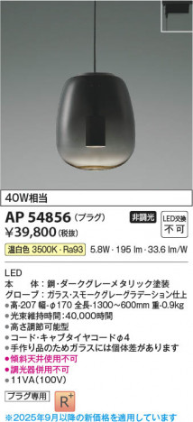 ���β��� Koizumi �������߾��� LED�ڥ����� AP54856