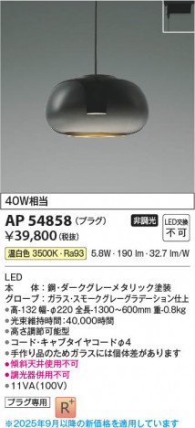 ���β��� Koizumi �������߾��� LED�ڥ����� AP54858