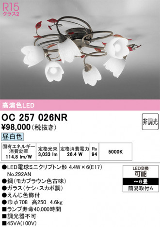 ODELIC �����ǥ�å� �����ǥꥢ OC257026NR �ᥤ��̿�