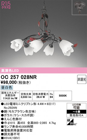 ODELIC �����ǥ�å� �����ǥꥢ OC257028NR �ᥤ��̿�