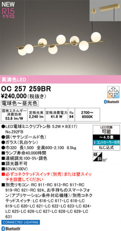 ODELIC �����ǥ�å� �����ǥꥢ OC257259BR �ᥤ��̿�