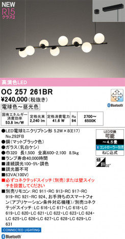 ODELIC �����ǥ�å� �����ǥꥢ OC257261BR �ᥤ��̿�