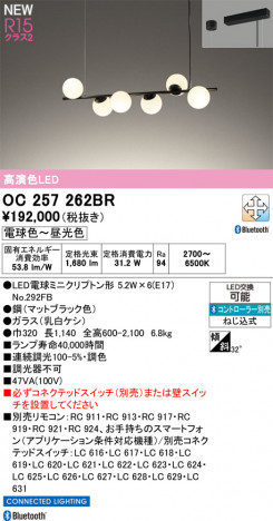 ODELIC �����ǥ�å� �����ǥꥢ OC257262BR �ᥤ��̿�