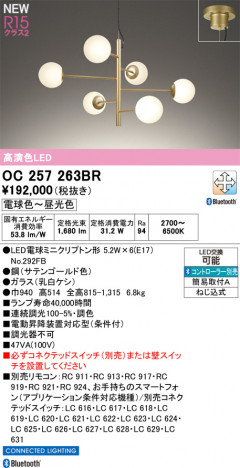 ODELIC �����ǥ�å� �����ǥꥢ OC257263BR �ᥤ��̿�