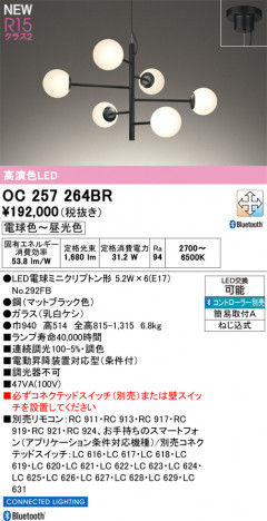 ODELIC �����ǥ�å� �����ǥꥢ OC257264BR �ᥤ��̿�