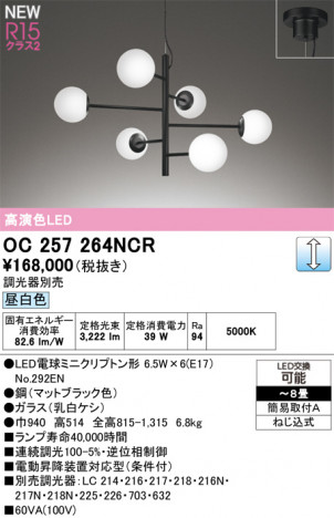 ODELIC �����ǥ�å� �����ǥꥢ OC257264NCR �ᥤ��̿�