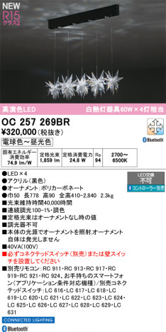 ODELIC �����ǥ�å� �����ǥꥢ OC257269BR �ᥤ��̿�