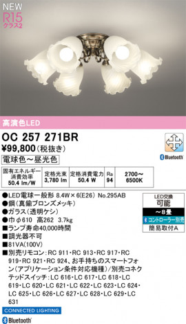 ODELIC �����ǥ�å� �����ǥꥢ OC257271BR �ᥤ��̿�