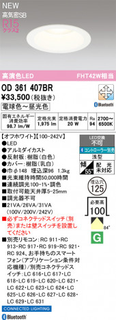 ODELIC �����ǥ�å� ������饤�� OD361407BR �ᥤ��̿�