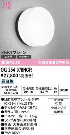 ODELIC �����ǥ�å� �������ƥꥢ�饤�� OG254978NCR �ᥤ��̿�