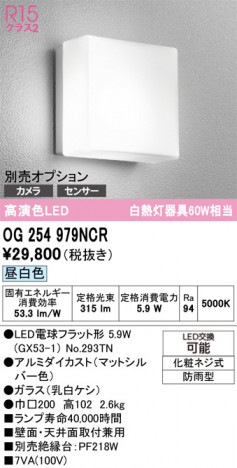 ODELIC �����ǥ�å� �������ƥꥢ�饤�� OG254979NCR �ᥤ��̿�