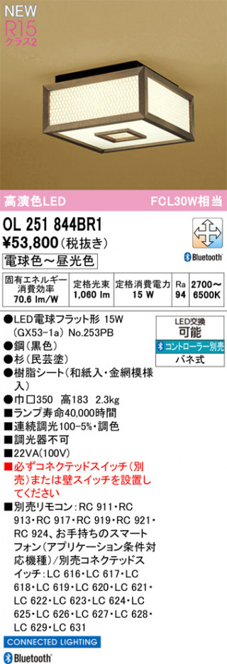 ODELIC �����ǥ�å� ��������������󥰥饤�� OL251844BR1 �ᥤ��̿�